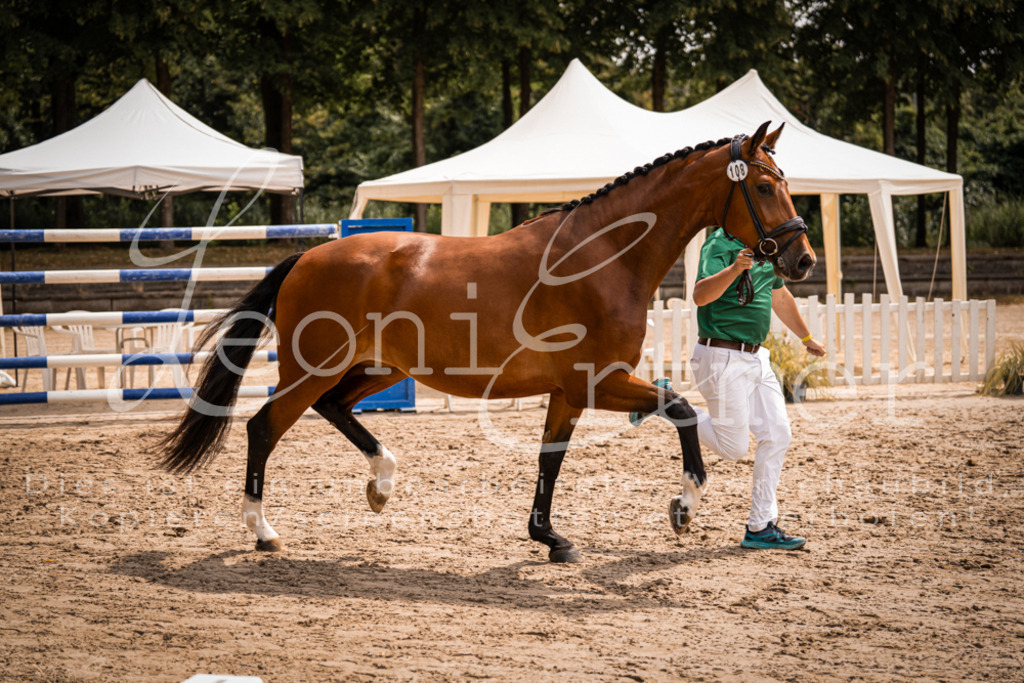 3.Fr00030 | Leoni Ertmer Photography - Realisiert mit Pictrs.com