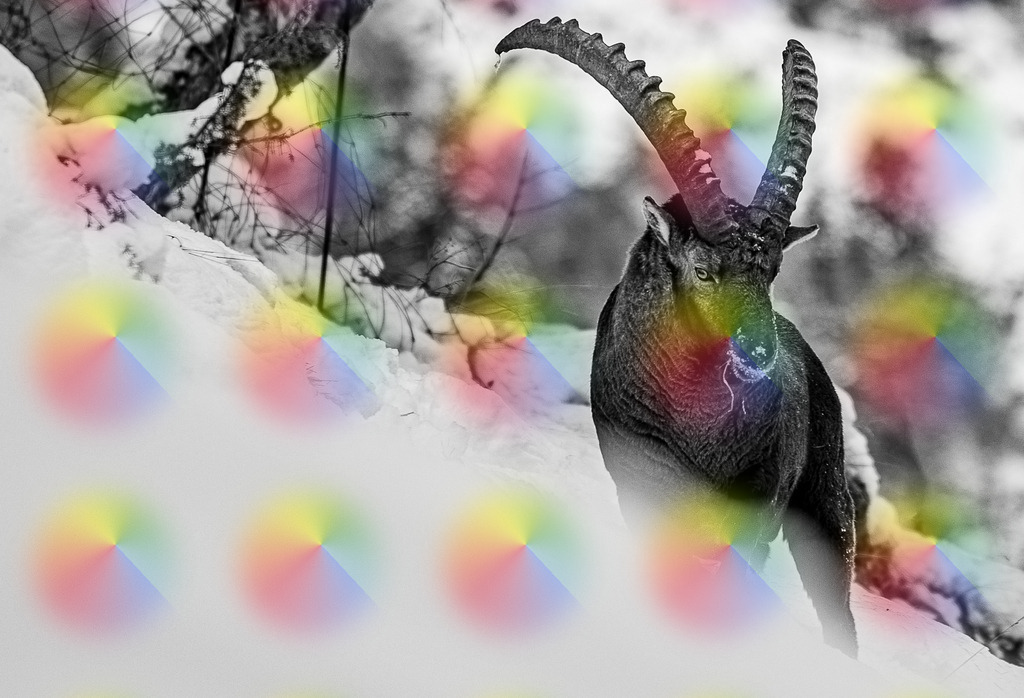 20231205-7J9A1747-2 | FineArtPrint, Hahnemühle, FeeGalerie, Fee Galerie, Fotokunst, Fotografie, Canonphotography, Bergfoto, Matterhorn, Rimpfischhorn, Allalinhorn, Saas-Fee, Wallis, Valais, Switzerland, Bergfotografie