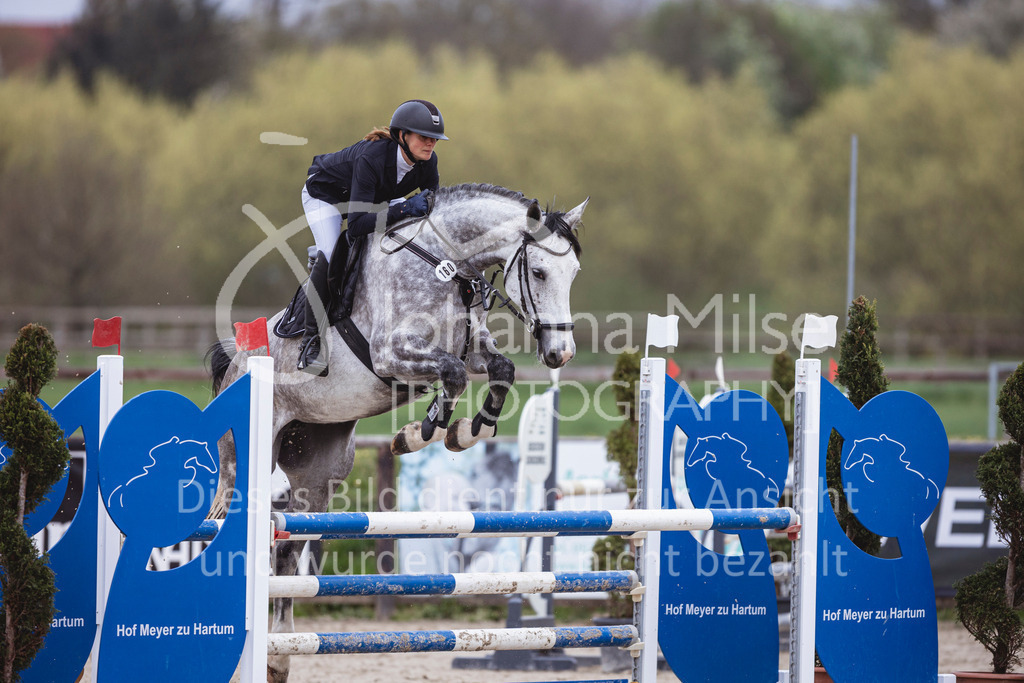 250417_Springpferde-L1-224 | Deine schönsten Turniermomente als professionelle Fotos! Entdecke hochwertige Pferdesport-Fotografie im Online-Shop. Jetzt Fotos finden & bestellen!