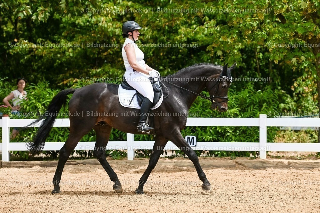 20230715_05_Dressurprüfung Kl.A++_0152 | equistock