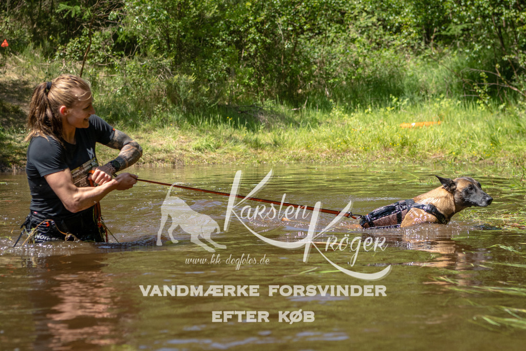 DK K990829141405 | kk-dogfotos