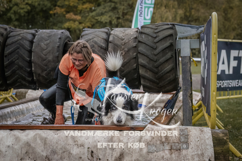 1631_ZZ93831 | kk-dogfotos