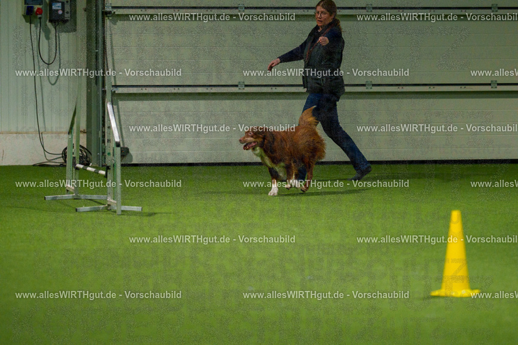 7R508942 | Professionelle Tierfotografie in Mönchengladbach von Daniel Wirth (allesWIRTHgut). Liebevolle & natürliche Bilder von Hunden & Katzen für unvergessliche Erinnerungen.