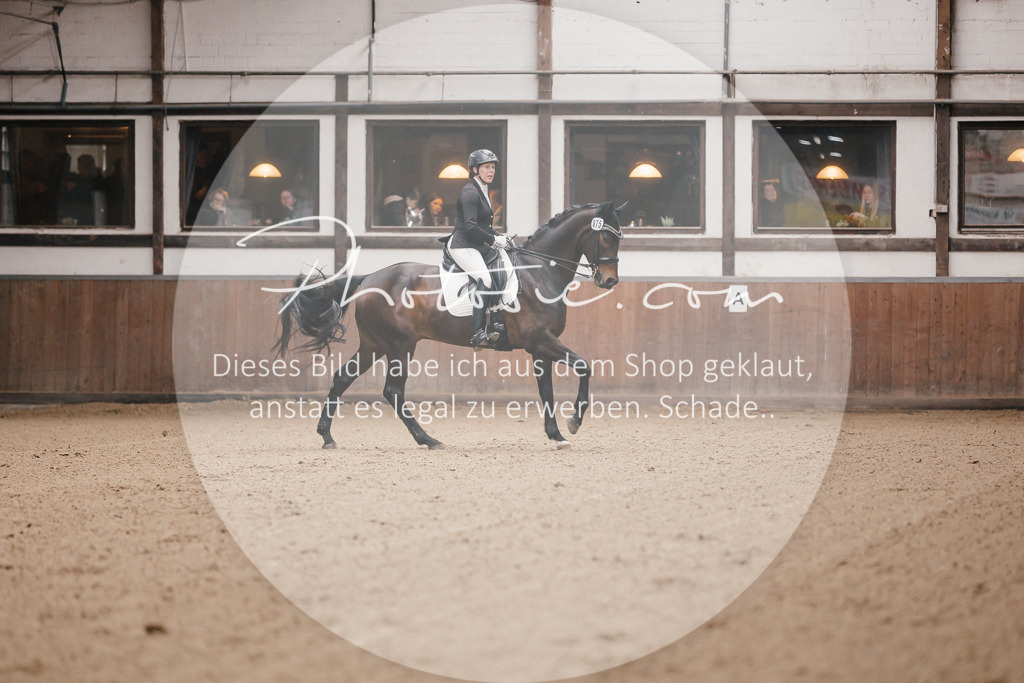 3I6A8689 | Stimmungsvolle Portraits und Reitsportfotografie im Ruhrgebiet und im Münsterland.

Pferdefotografie, Hundefotografie, Tierfotografie, Reportagen, Portraits von Tier und Mensch, Turnierfotografie in Bochum, Recklinghausen, Marl, Haltern am See, Dülmen.. - Realisiert mit Pictrs.com