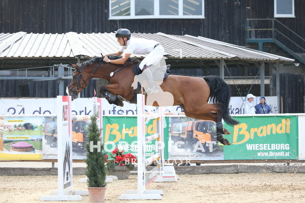 DL2Q5301 | Willkommen bei Brunnmayr - Design & Fotografie – Ihrem Spezialisten für Reitturniere und Pferdeveranstaltungen in Oberösterreich, Salzburg und Bayern! Seit über 17 Jahren sind wir leidenschaftlich dabei.