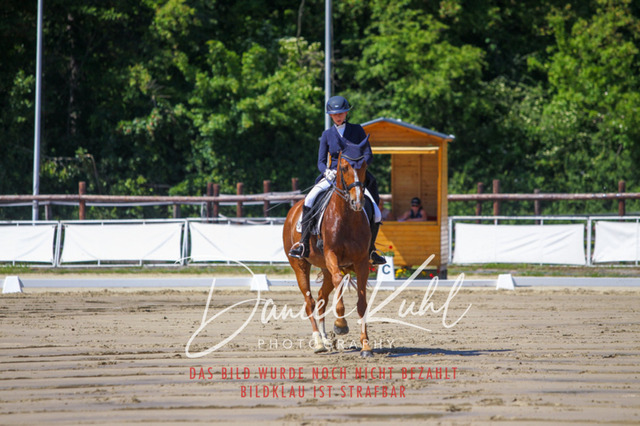 DKP42301 | Turniersportfotografie; Pferdefotografie; Dressurfotografie
