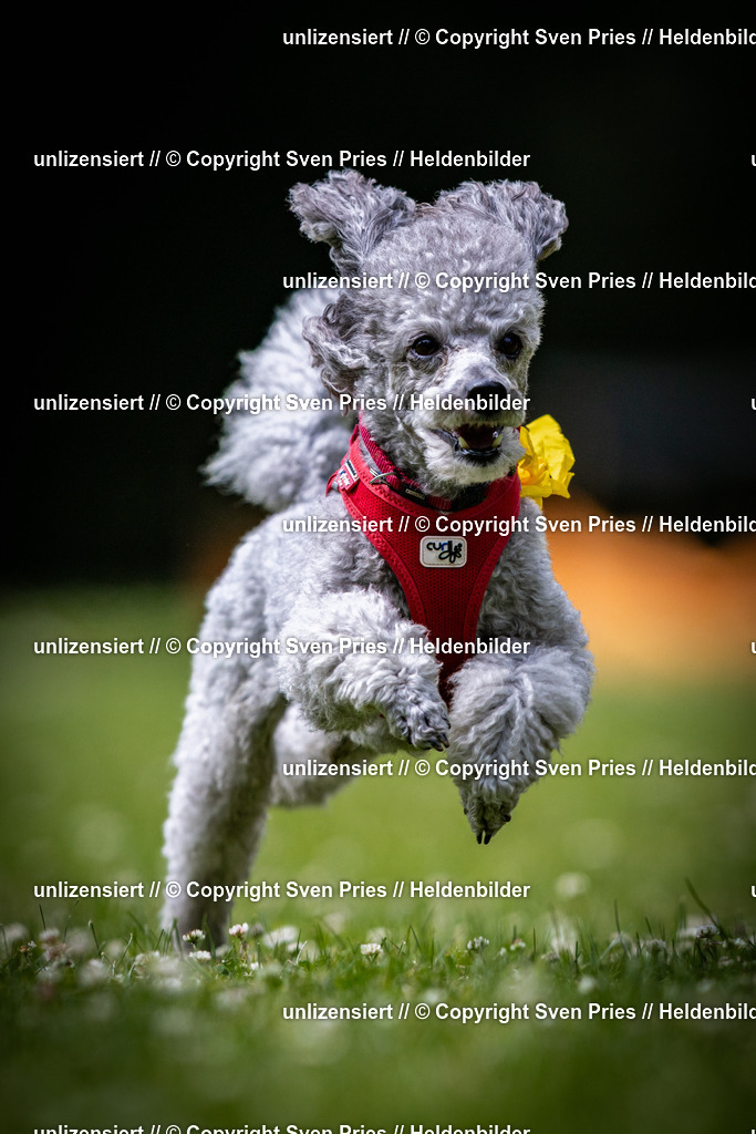 Sven Pries | 2025-05-29 - Pudelrennen KA-Durlach - Realisiert mit Pictrs.com