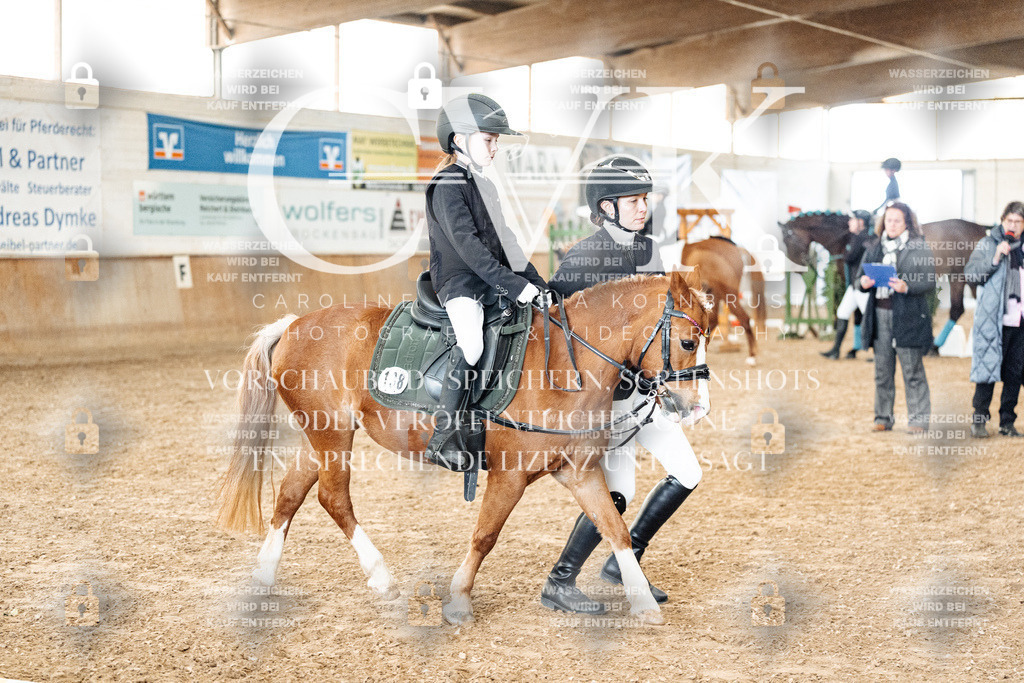 CK905627 | Turnierfotografie Pferdefotografie Trier Rheinland-Pfalz Pferdesport Reitsport Tierfotografie Sportfotografie Pferdevideo Pferdevideografie Equestrianvideography equestrianphotography  - Realisiert mit Pictrs.com