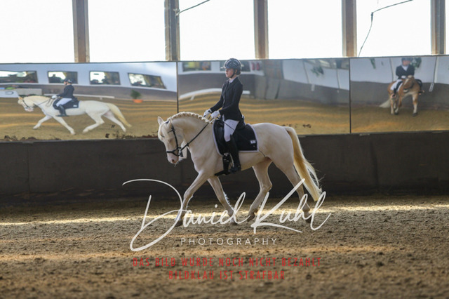 IMG_2583 | Turniersportfotografie; Pferdefotografie; Dressurfotografie