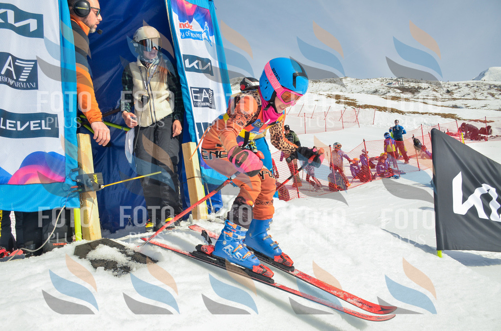 _ELE4374 | holidayphoto