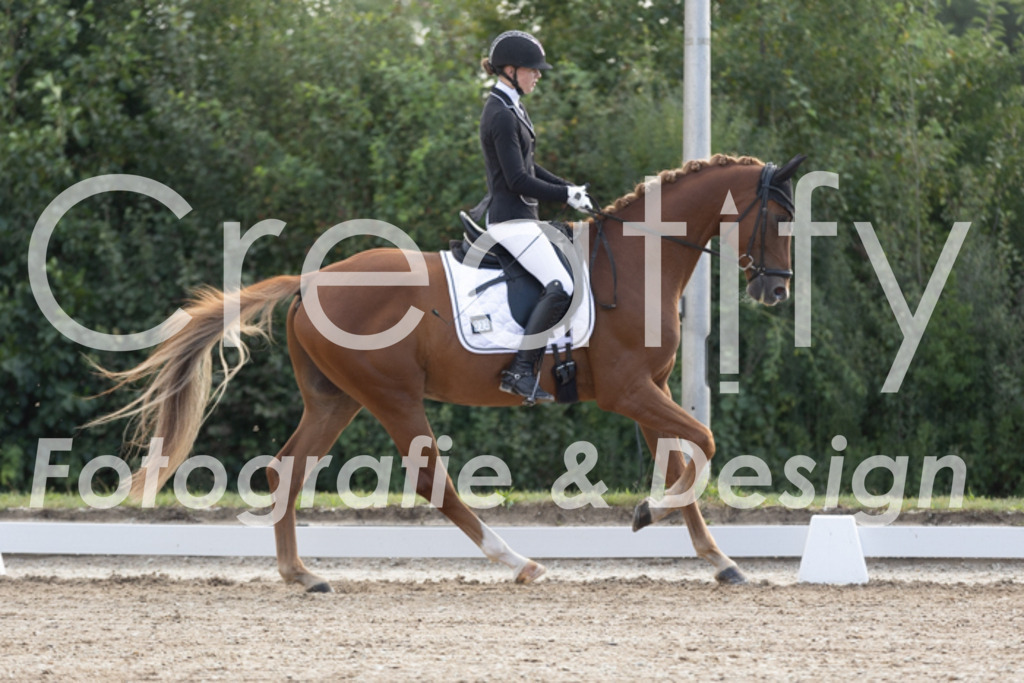 IMG_9791 | Creatify Fotografie