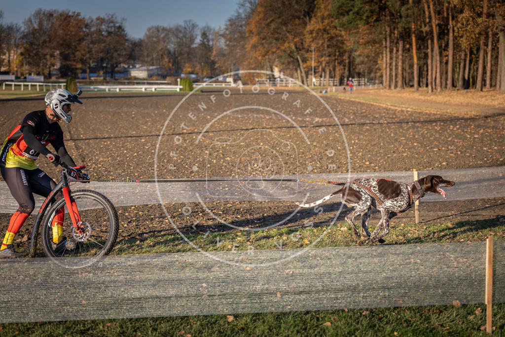 CaniXpix_DV3A1072 | Hundefotografie, Tierfotograf, Pfotenfotografie, Fotoshooting Hund, Hunde Portrait, Hundesport, Hundeportraits, Heideshooting, Hunde, Sportfotograf, Hundefotograf, Turnierhundsport, THS,  - Realisiert mit Pictrs.com