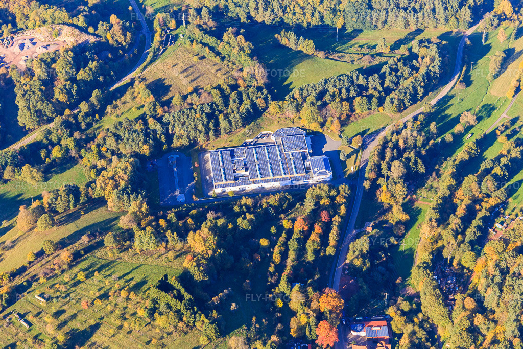 Luftbild: Lugina Schuhfabrik GmbH in Schwanheim im Bundesland Rheinland-Pfalz in Deutschland. Foto: IMG_104021.jpg vom 14.10.2017 durch Werner Riehm/FLY-FOTO.deLugina Schuhfabrik - Hersteller von Waldläufer und RUN Vegan