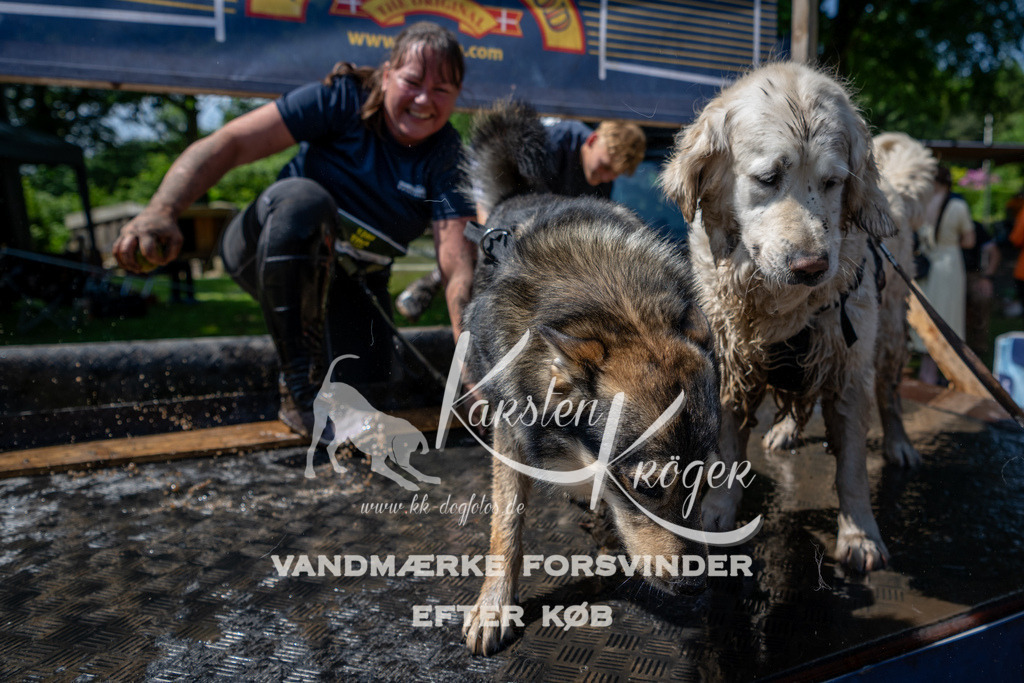 1209_ZZ90534 | kk-dogfotos