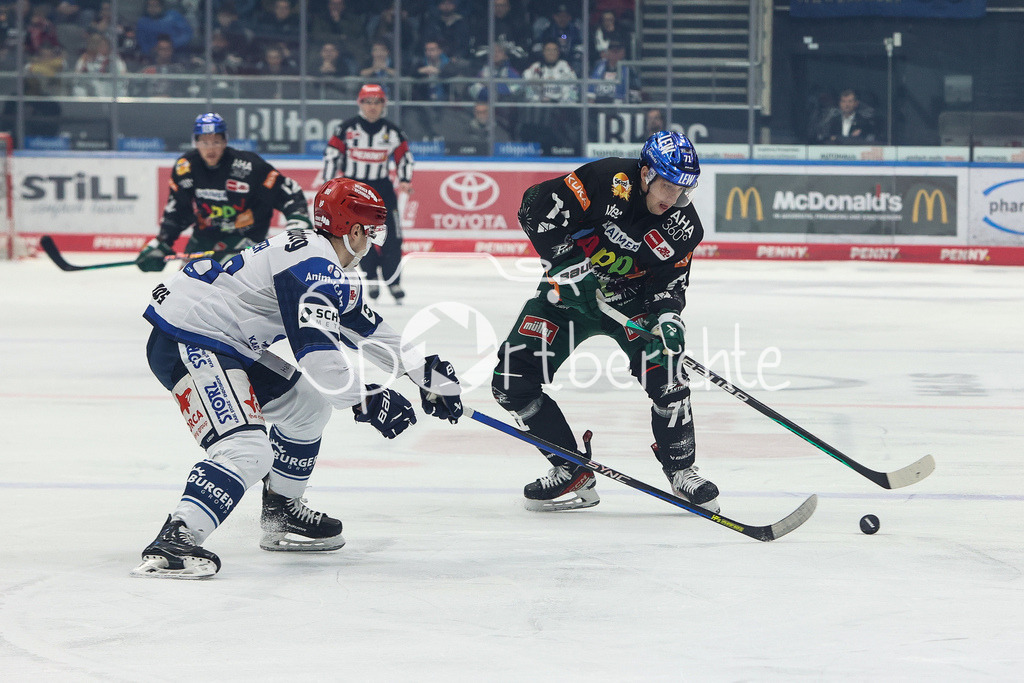 Augsburger Panther - Schwenninger Wild Wings | William WEBER (SERC #78) im Duell mit Niklas ANDERSEN (AEV #71) / Zweikampf