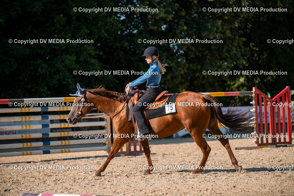 EWP_7002 | dv-media-shop - Realisiert mit Pictrs.com