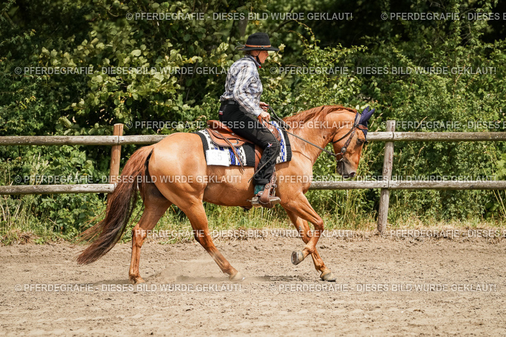 DSC00027 | Pferdegrafie