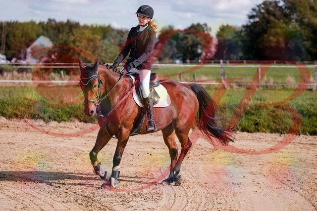2026_10_03_Siefer-Hof_143554_Z81_05202597 | Professionelle Reitsport-, Turnier- und Eventfotografie von Robert Broda. Galerien mit ausgewählten und bearbeiteten Bildern direkt online ansehen und bestellen.