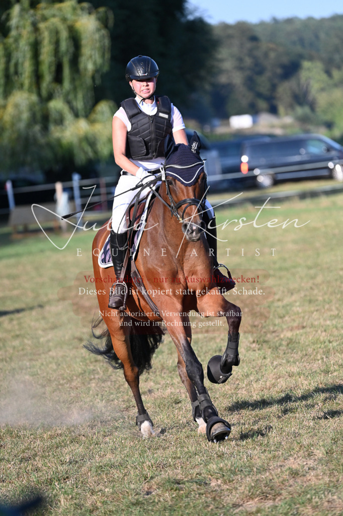 DSC_9164 | Pferde- und Turnierfotografie in Westsachsen. Pferdeportraits, Auftragszeichnungen und intuitive Kunst.