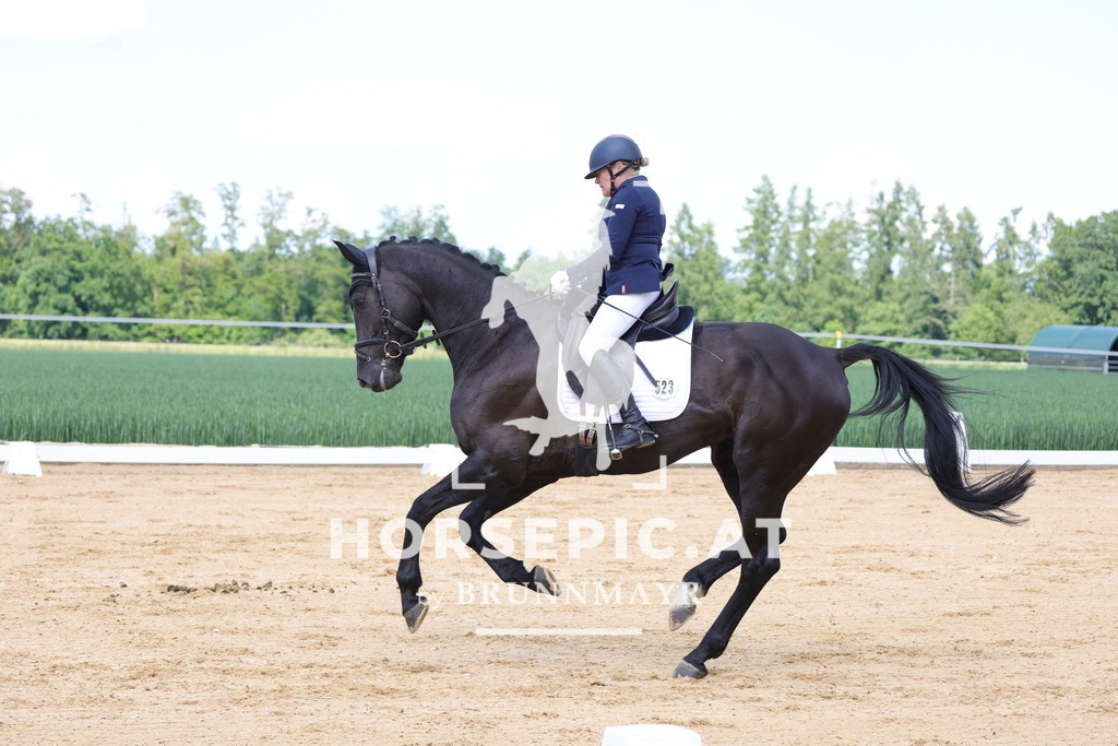 0P6A9115 | Willkommen bei Brunnmayr - Design & Fotografie – Ihrem Spezialisten für Reitturniere und Pferdeveranstaltungen in Oberösterreich, Salzburg und Bayern! Seit über 17 Jahren sind wir leidenschaftlich dabei.