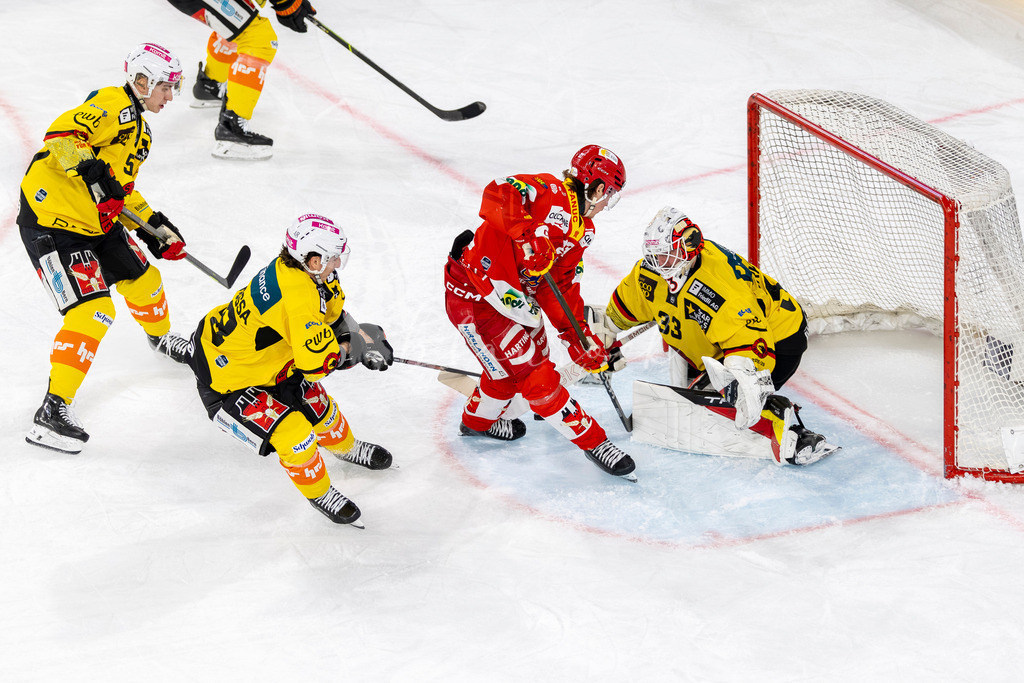 EHCB vs SCB 20260312_wb-4076 | Sportbilder, Sportfotograf, Hochzeits- und Eventfotografin, Flugshows, Portraits und Tiershooting, Aviation, Downhill, Nationalleague, Swissleague, International