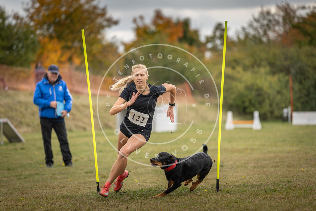 Pfotenfotografie_DV3A7720 | Hundefotografie, Tierfotograf, Pfotenfotografie, Fotoshooting Hund, Hunde Portrait, Hundesport, Hundeportraits, Heideshooting, Hunde, Sportfotograf, Hundefotograf, Turnierhundsport, THS,  - Realisiert mit Pictrs.com