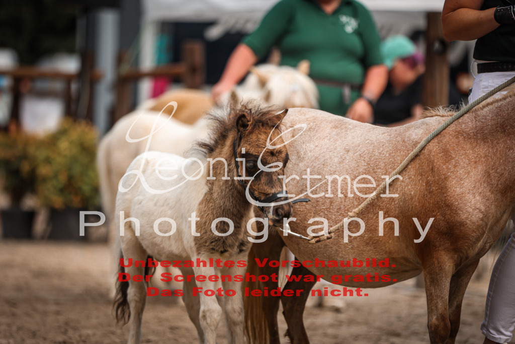 1.Fr00156 | Leoni Ertmer Photography - Realisiert mit Pictrs.com