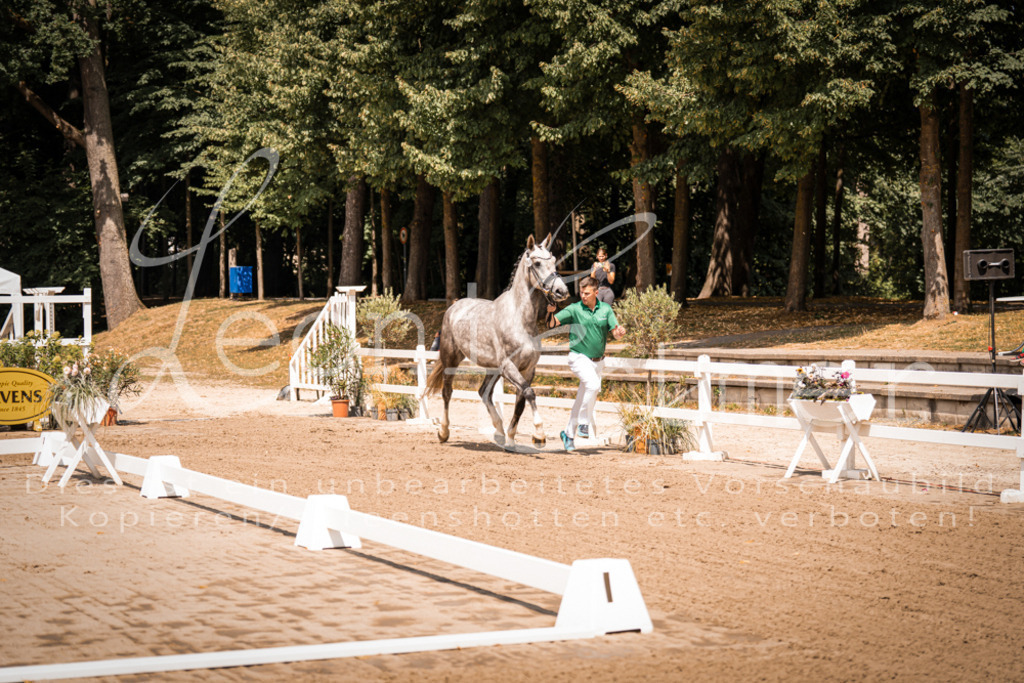 1.Fr00081 | Leoni Ertmer Photography - Realisiert mit Pictrs.com