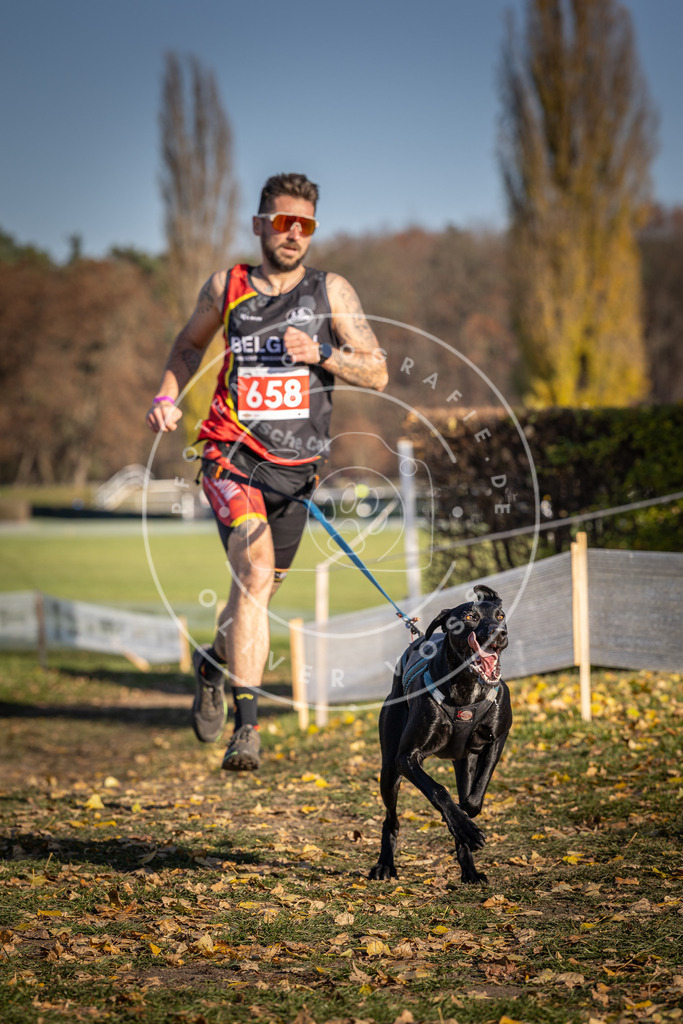 CaniXpix_DV3A0620 | Hundefotografie, Tierfotograf, Pfotenfotografie, Fotoshooting Hund, Hunde Portrait, Hundesport, Hundeportraits, Heideshooting, Hunde, Sportfotograf, Hundefotograf, Turnierhundsport, THS,  - Realisiert mit Pictrs.com