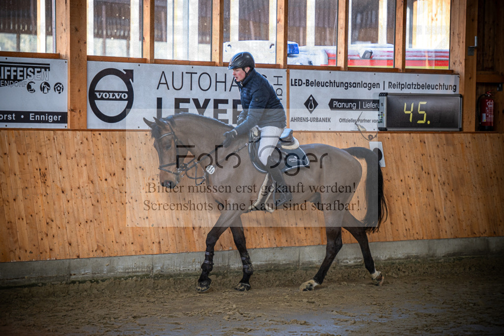 DOS_0380 | Entdecke hochwertige Reitturnierfotos von Foto Oger. Professionell, emotional und authentisch – jetzt Lieblingsmomente im Shop bestellen.Deutschlandweite Turnierfotografie. - Realisiert mit Pictrs.com
