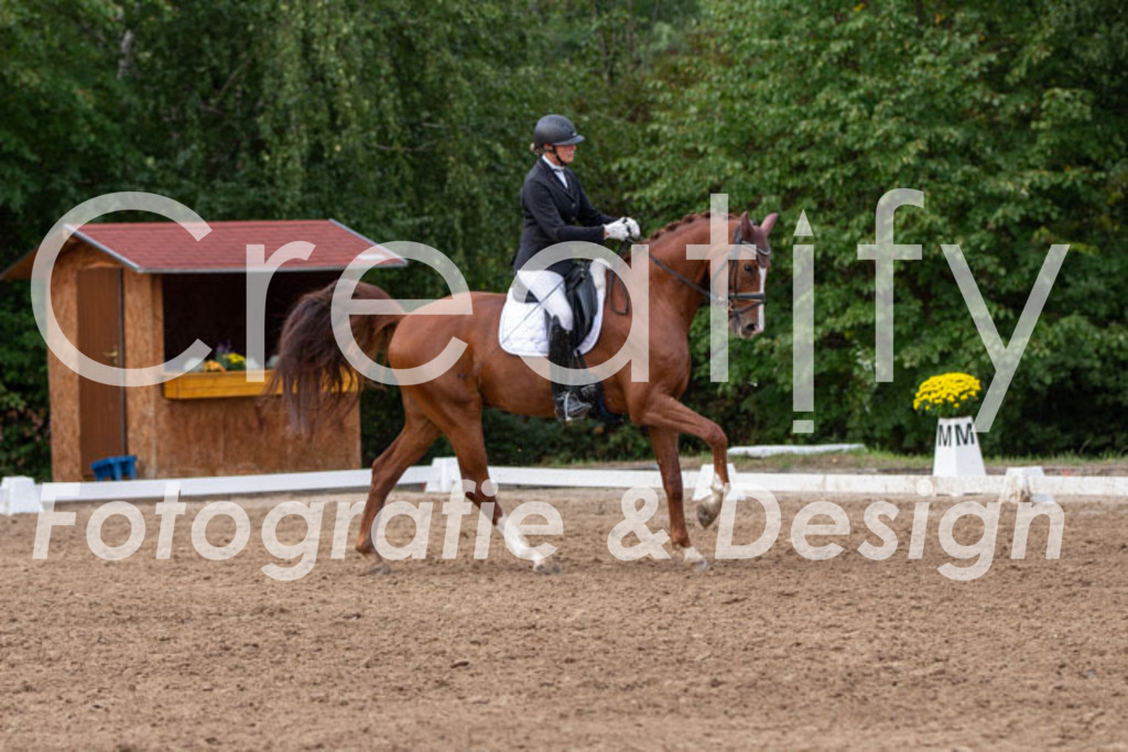 IMG_5079 | Creatify Fotografie