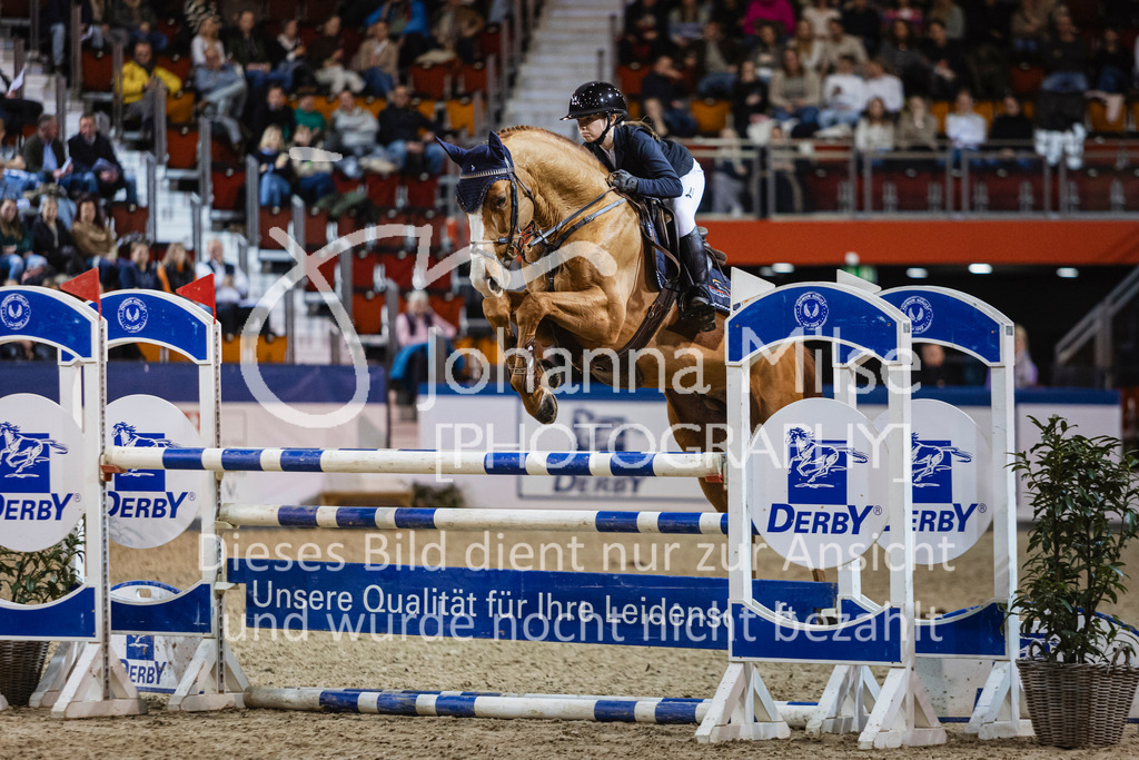 250108_Muenster_Hengstpräsentation-133 | Deine schönsten Turniermomente als professionelle Fotos! Entdecke hochwertige Pferdesport-Fotografie im Online-Shop. Jetzt Fotos finden & bestellen!