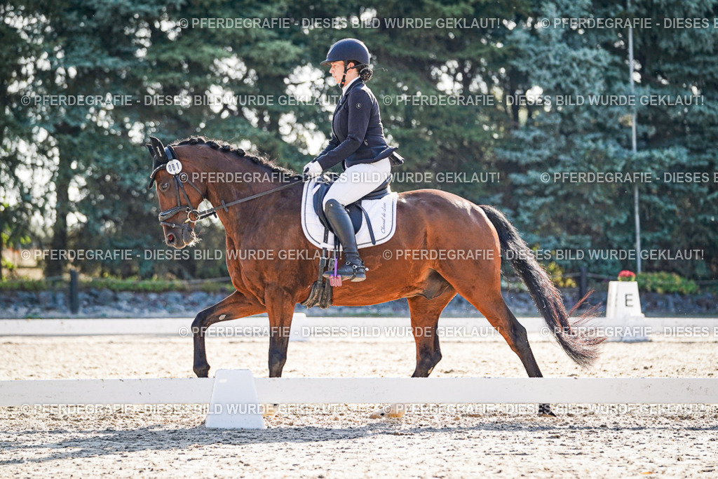 DSC09008 | Pferdegrafie