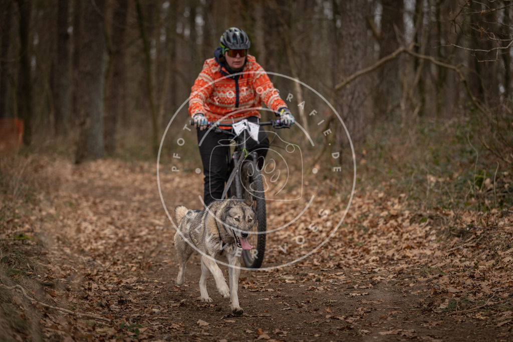 Pfotenfotografie_DV3A7138 | Hundefotografie, Tierfotograf, Pfotenfotografie, Fotoshooting Hund, Hunde Portrait, Hundesport, Hundeportraits, Heideshooting, Hunde, Sportfotograf, Hundefotograf, Turnierhundsport, THS,  - Realisiert mit Pictrs.com