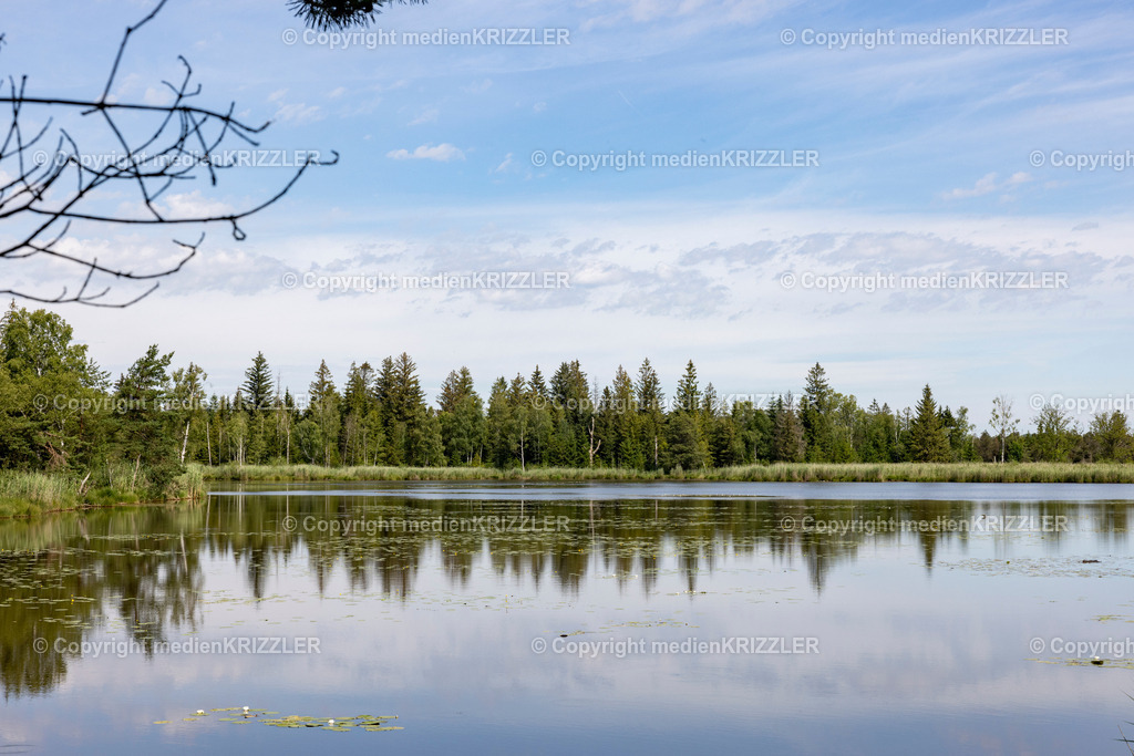 _J3A5397 | medienkrizzler - Realisiert mit Pictrs.com