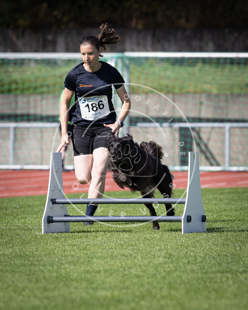 Pfotenfotografie_DV3A0387 | Hundefotografie, Tierfotograf, Pfotenfotografie, Fotoshooting Hund, Hunde Portrait, Hundesport, Hundeportraits, Heideshooting, Hunde, Sportfotograf, Hundefotograf, Turnierhundsport, THS,  - Realisiert mit Pictrs.com
