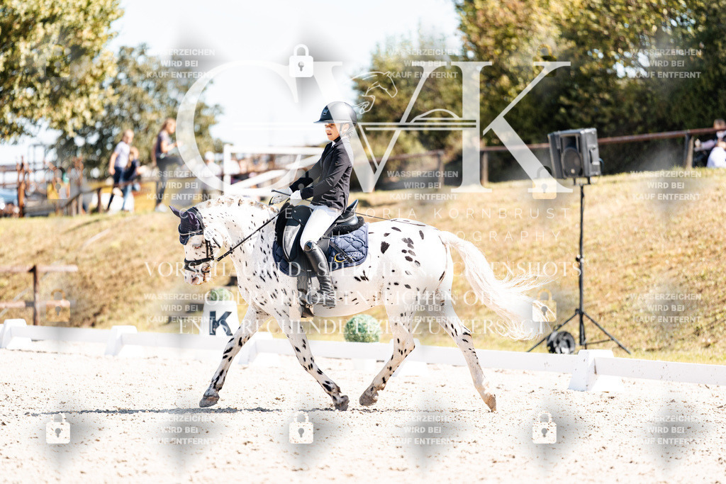 CK904146 | Turnierfotografie Pferdefotografie Trier Rheinland-Pfalz Pferdesport Reitsport Tierfotografie Sportfotografie Pferdevideo Pferdevideografie Equestrianvideography equestrianphotography  - Realisiert mit Pictrs.com