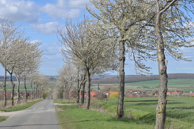 DSC_7101 | Naturfotografie Frauke Gläser - Realisiert mit Pictrs.com