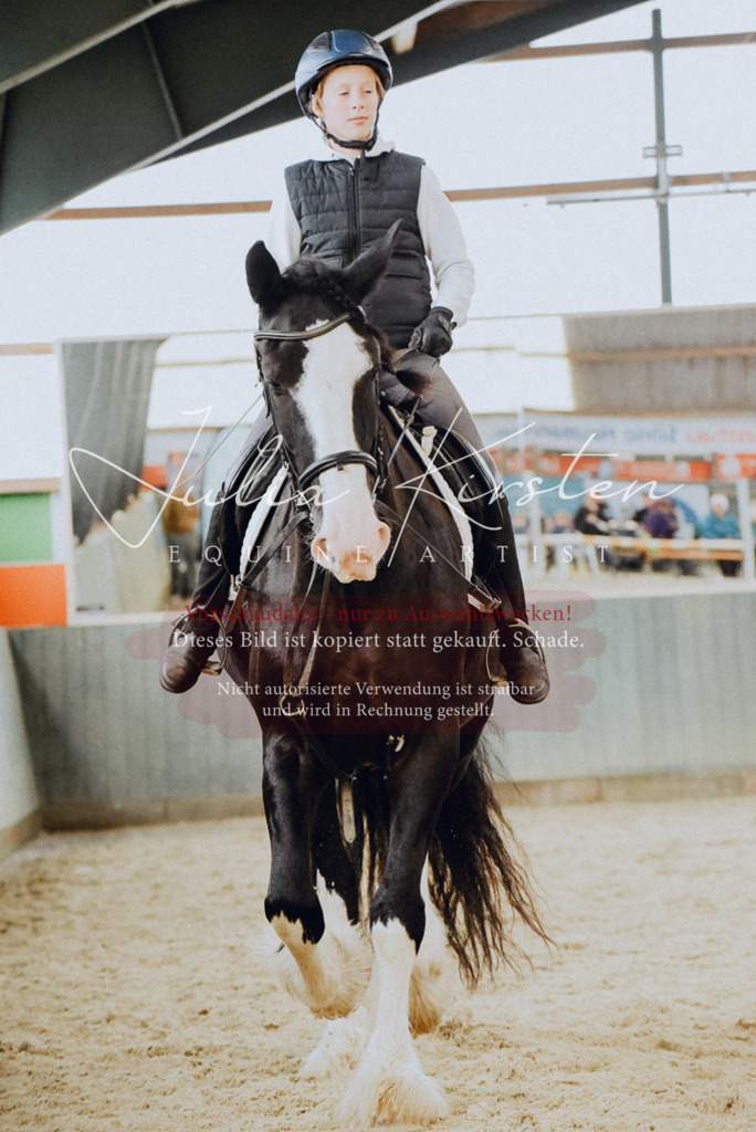 DSC_7228 | Pferde- und Turnierfotografie in Westsachsen. Pferdeportraits, Auftragszeichnungen und intuitive Kunst.
