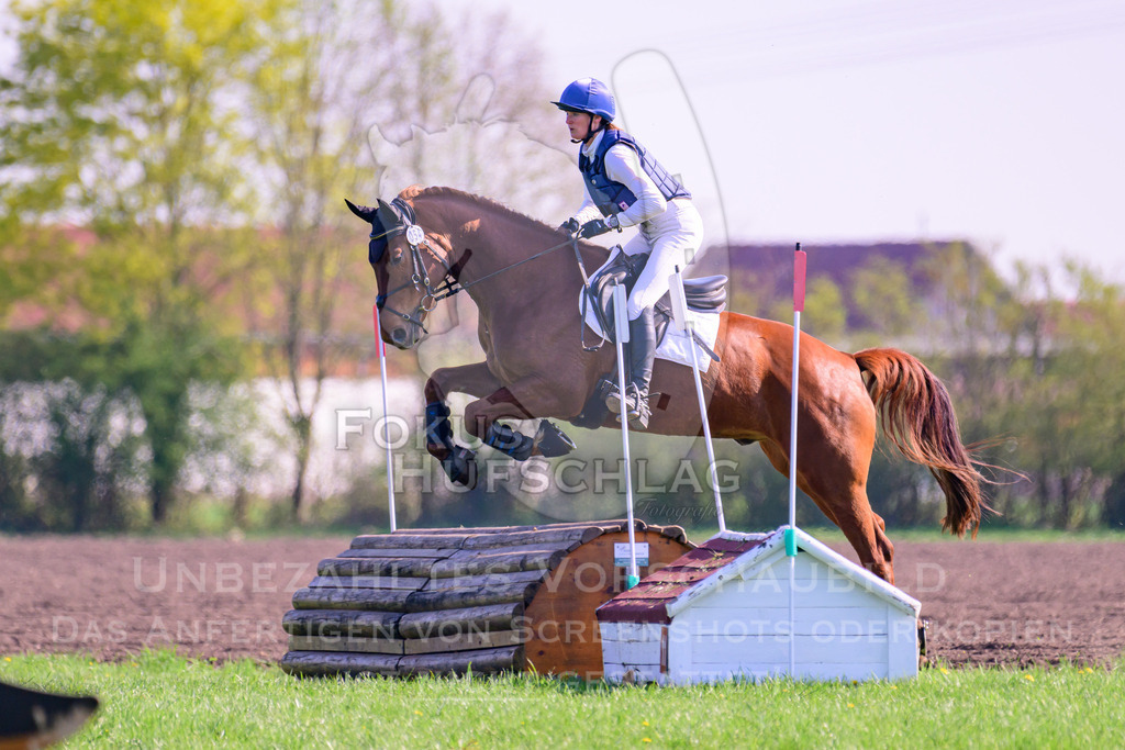 18042026-Gernlinden-03-0235 | Fokus Hufschlag Fotografie - Realisiert mit Pictrs.com