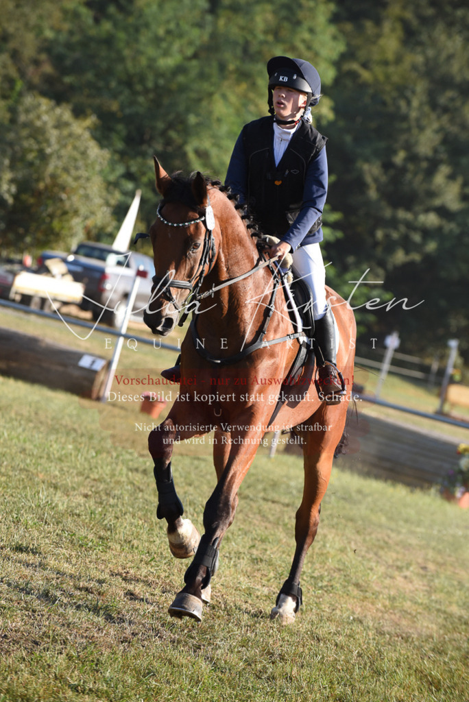 DSC_5006 | Pferde- und Turnierfotografie in Westsachsen. Pferdeportraits, Auftragszeichnungen und intuitive Kunst.