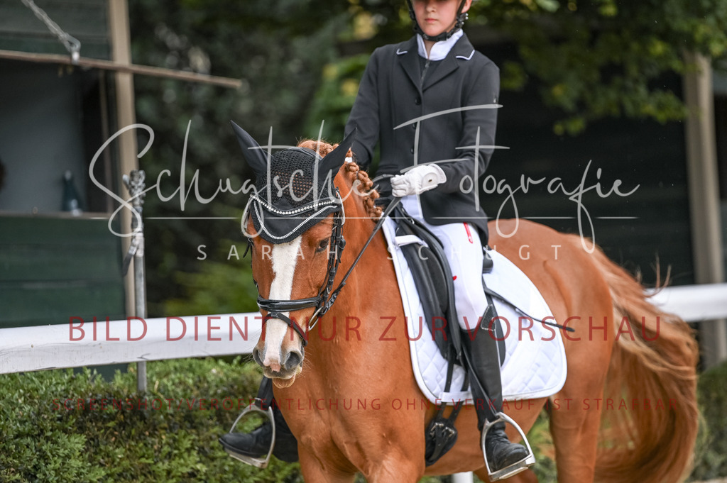 Schugtsche-Aluta25-41.Amat-Dressurprf.A_-609 | Schugtsche Fotografie - Realisiert mit Pictrs.com