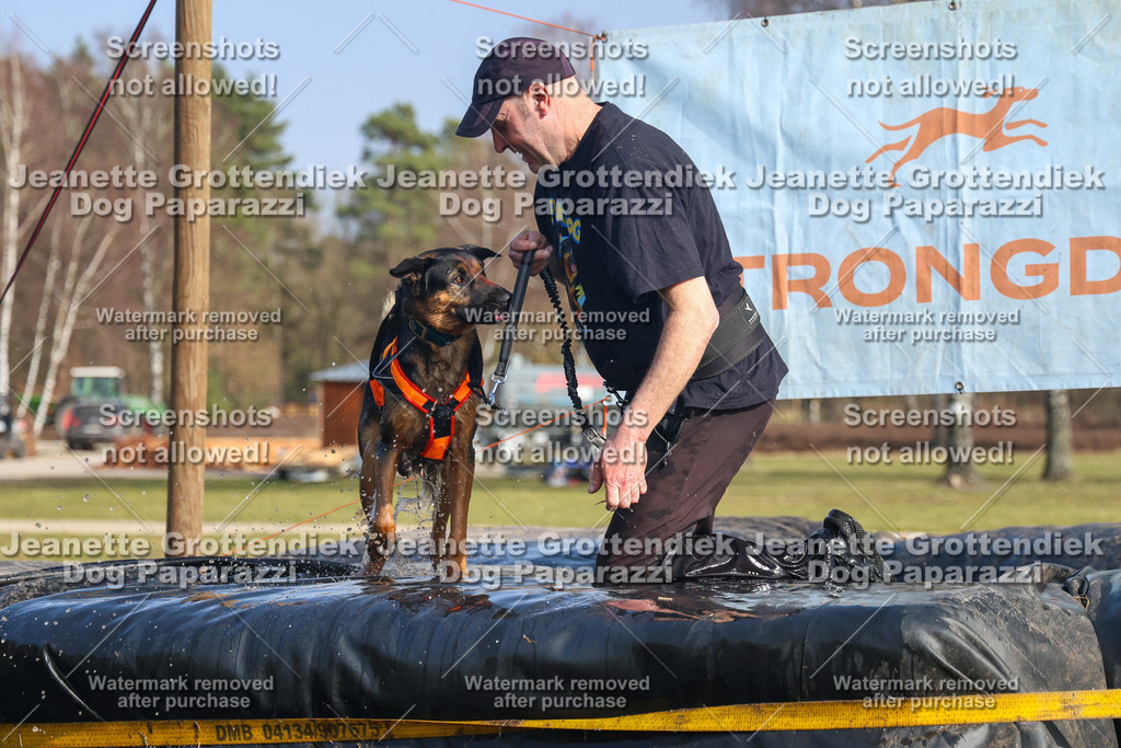 Dog Paparazzi - Strongdog North Mrz26-2937 | Dog Paparazzi Jeanette Grottendiek Fotografie & Videografie - Realisiert mit Pictrs.com