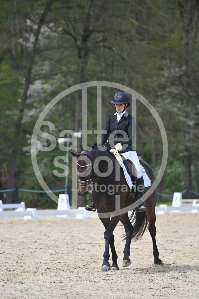 DSC_3090 | sattelsport - Realisiert mit Pictrs.com