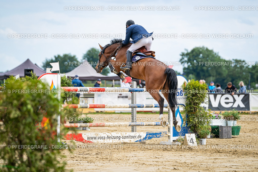 DSC07152 | Pferdegrafie