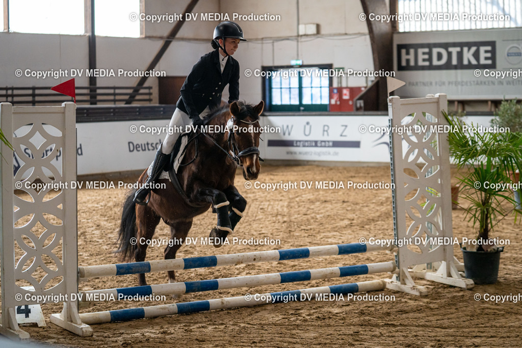 Kranichstein Tag 2-806 | dv-media-shop - Realisiert mit Pictrs.com