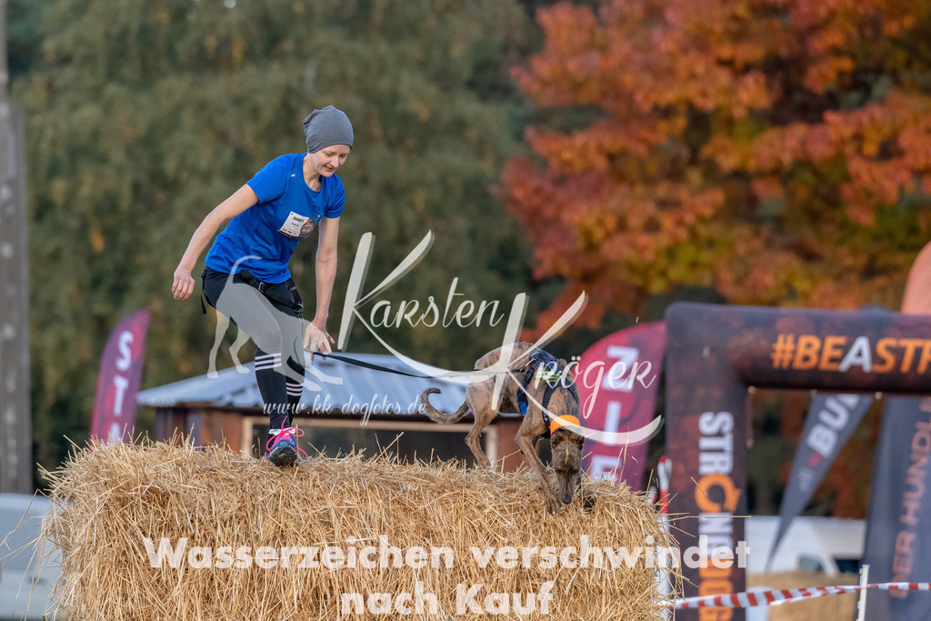 0813_ZZ94819-Bearbeitet | kk-dogfotos