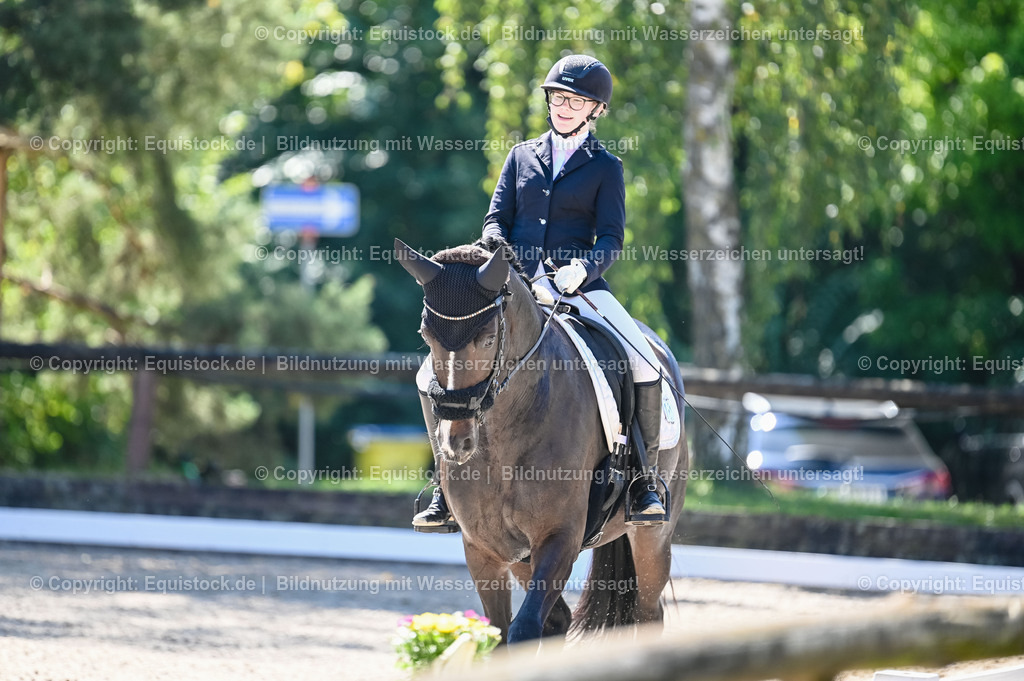 20230908_06_Dressur-L-Trense_0554 | equistock