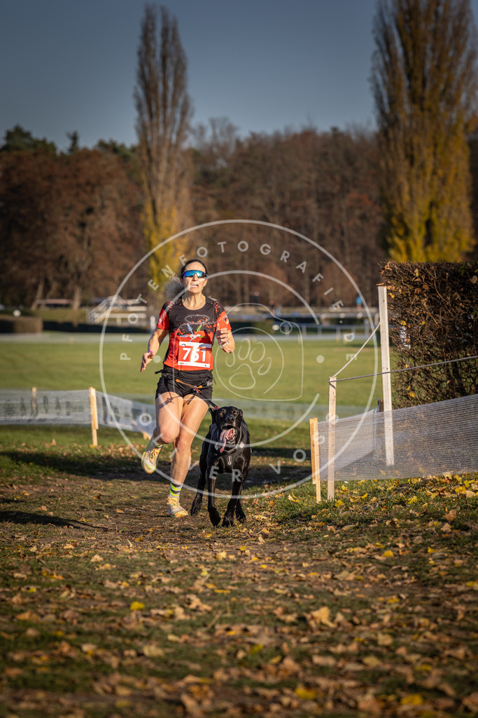 CaniXpix_DV3A2433 | Hundefotografie, Tierfotograf, Pfotenfotografie, Fotoshooting Hund, Hunde Portrait, Hundesport, Hundeportraits, Heideshooting, Hunde, Sportfotograf, Hundefotograf, Turnierhundsport, THS,  - Realisiert mit Pictrs.com