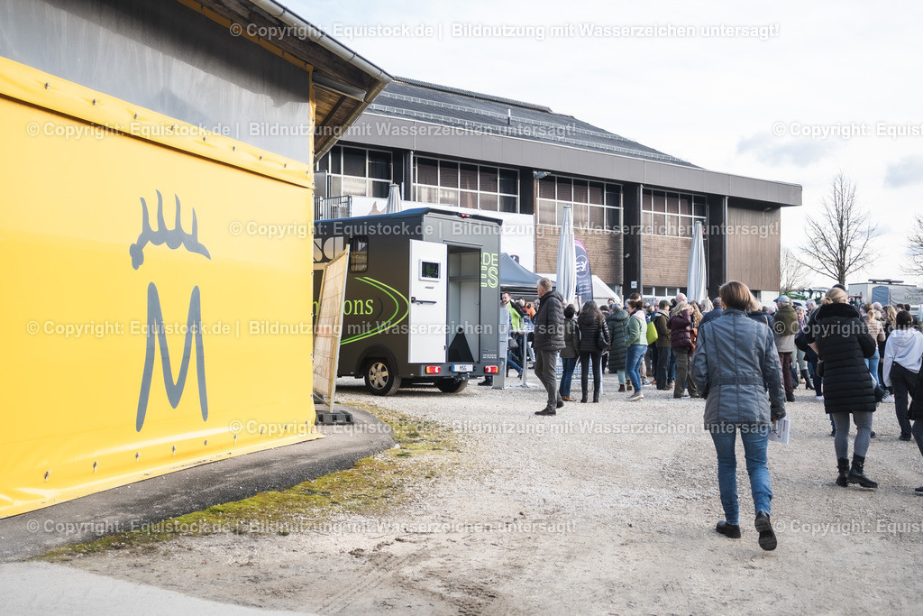 20240302_Hengstvorstellung_Marbach_TOMsPiC_0020 | equistock